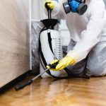 Pest Control Services: Protecting Your Family and Property