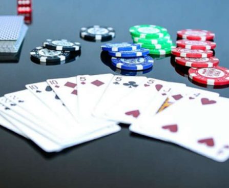 Understanding Evolution Gaming Live Casino Options