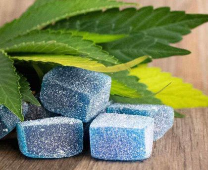 A New Era of Edibles What Makes HHC Gummies Unique?