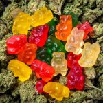 THCP Gummies The Ultimate Edible for Stress Relief and Relaxation